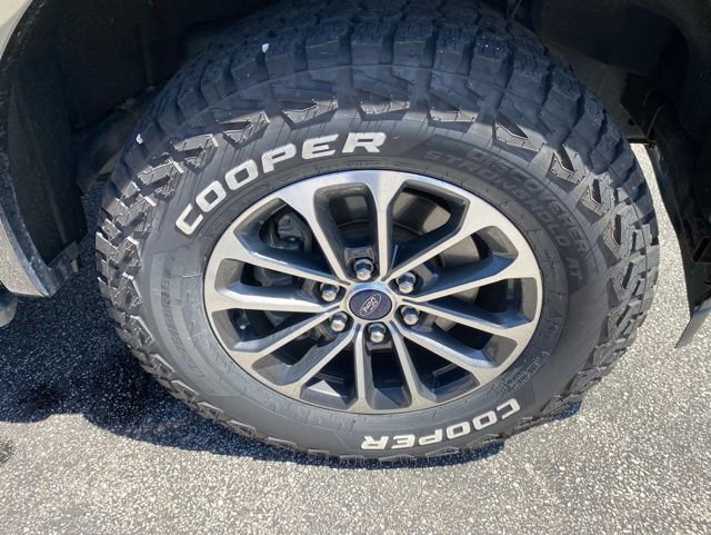 Used 2019 Ford F150 XLT w/ Equipment Group 302A Luxury AWD/4WD image 14