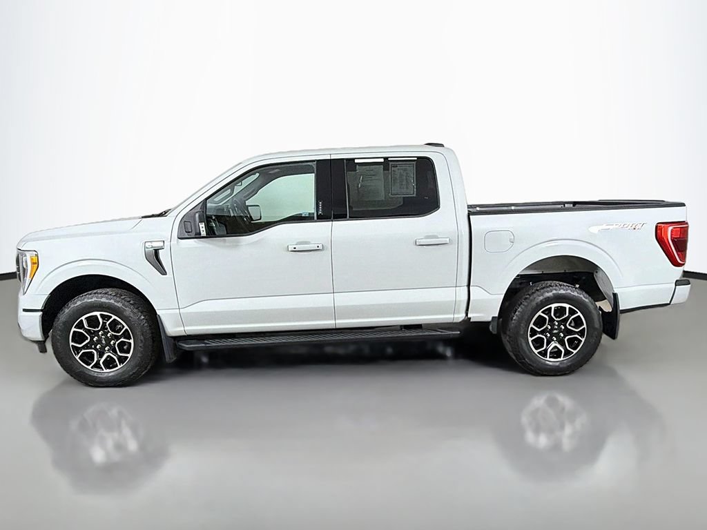 Used 2023 Ford F150 XLT w/ Equipment Group 302A High AWD/4WD image 14