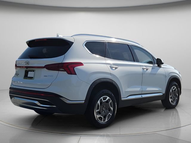 Used 2023 Hyundai Santa Fe Blue AWD/4WD image 7