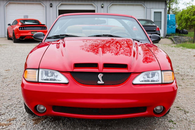 Used 1994 Ford Mustang GT image 13