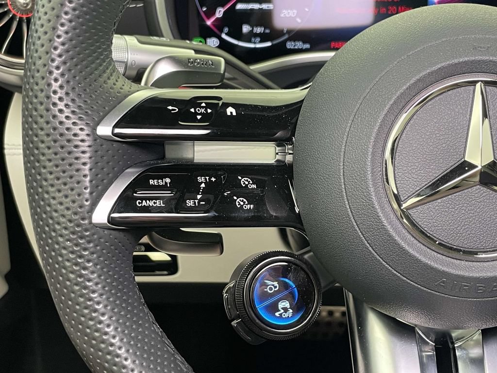 Used 2025 Mercedes-Benz AMG GT 55 image 28