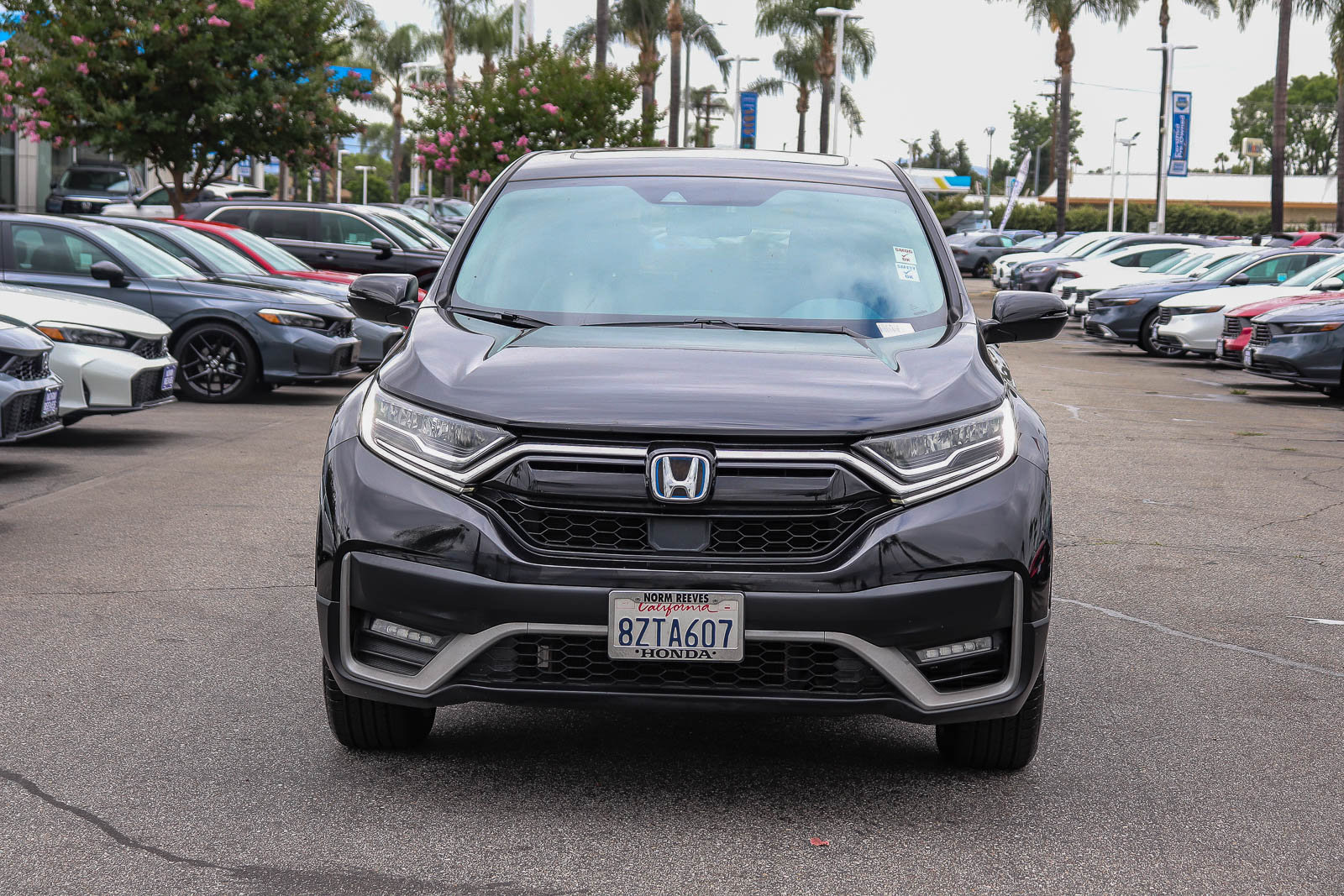 Certified 2022 Honda CR-V EX-L image 2