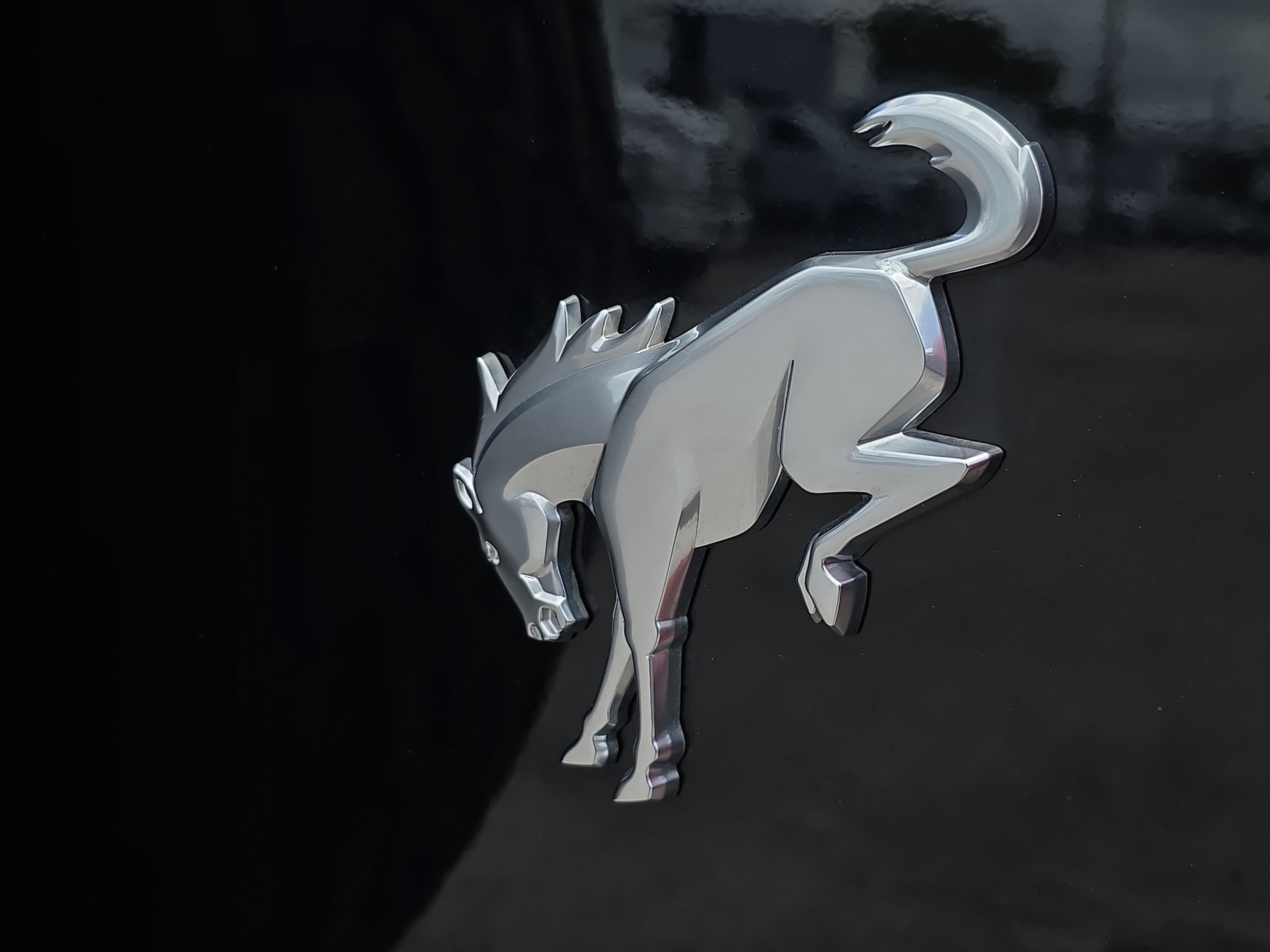 Used 2022 Ford Bronco Black Diamond image 9