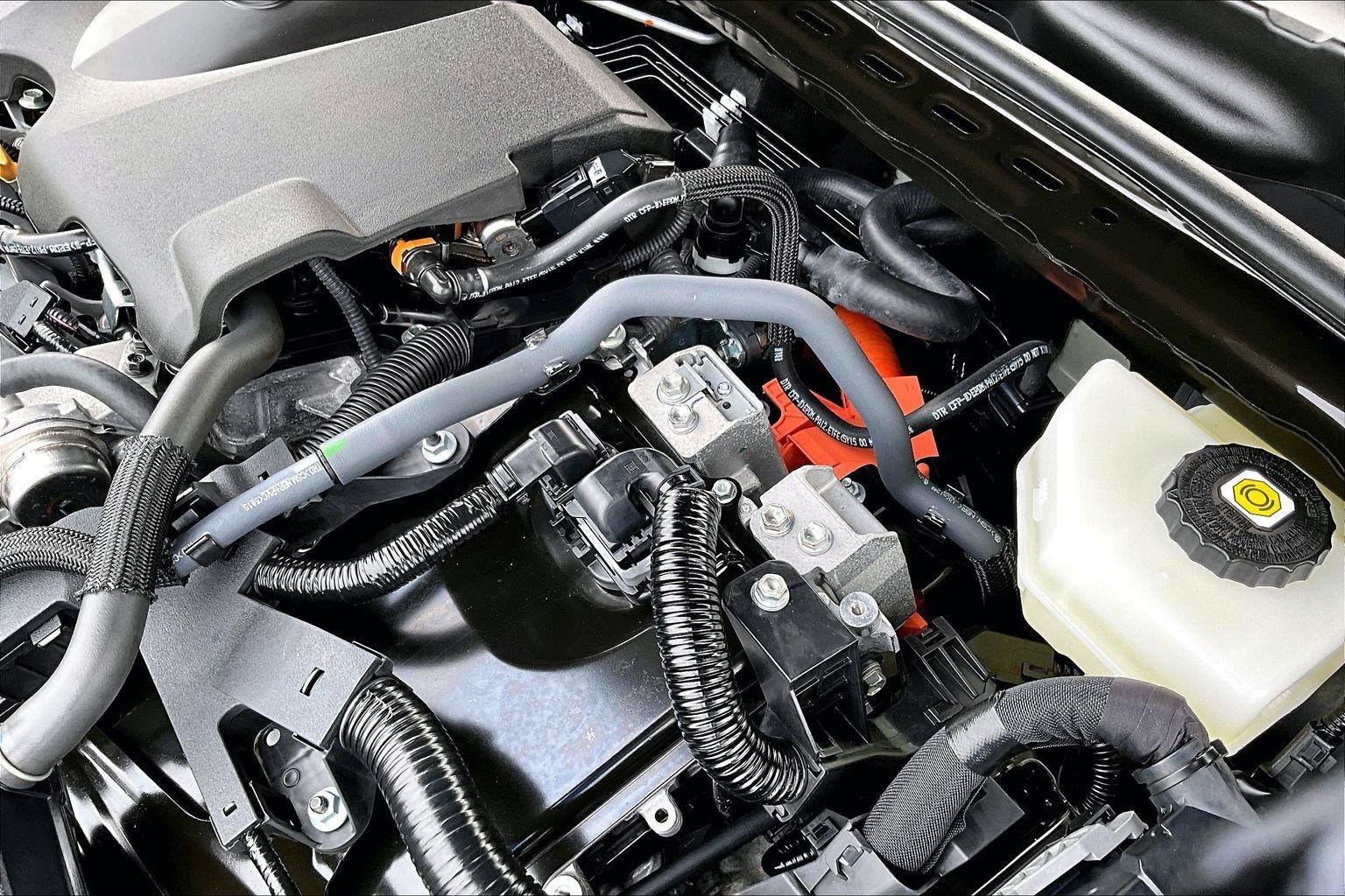 Used 2026 Toyota Camry XLE AWD/4WD image 34