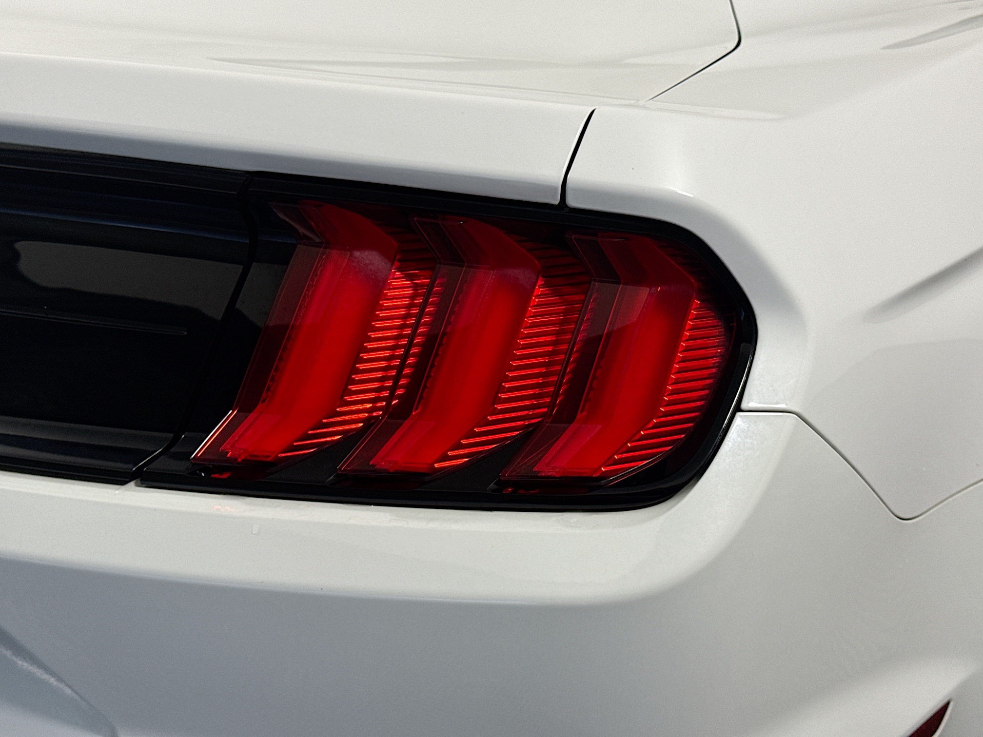 Used 2019 Ford Mustang Coupe RWD image 32