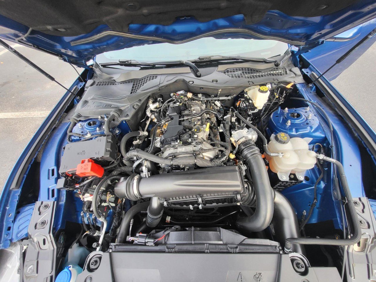 Used 2024 Ford Mustang Coupe image 9