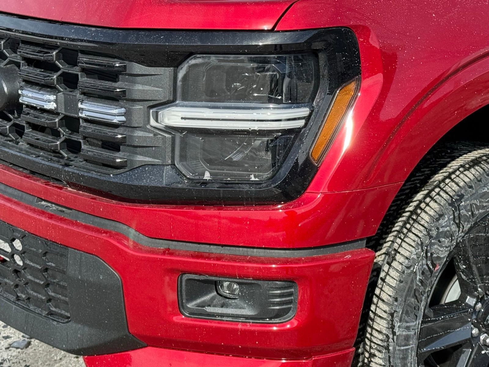 New 2026 Ford F150 STX w/ F-150 LOBO Package image 11