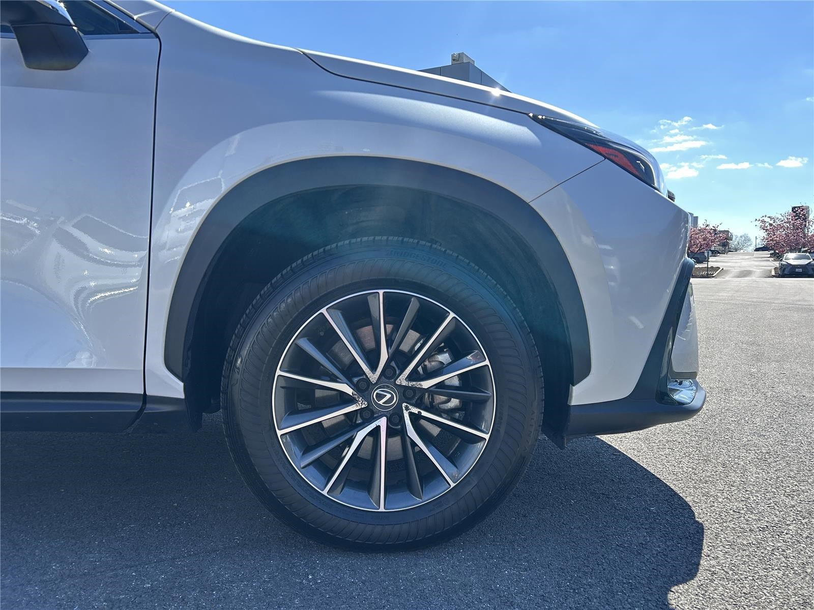 Used 2025 Lexus NX 350 AWD w/ Cold Area Package image 16