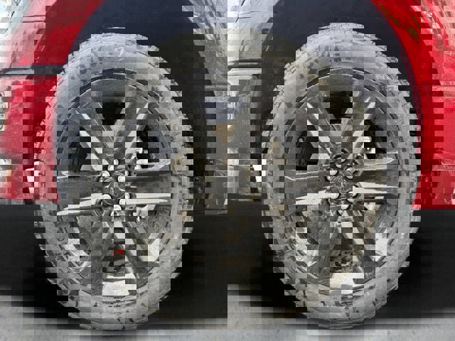 New 2026 Ford F150 STX w/ F-150 LOBO Package image 8