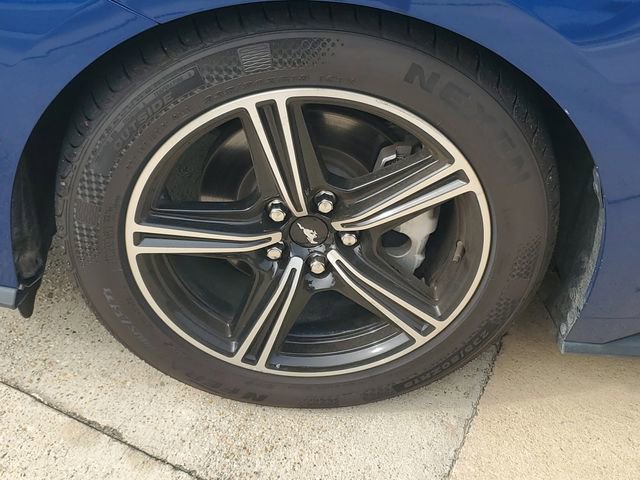 Used 2024 Ford Mustang Premium RWD image 12