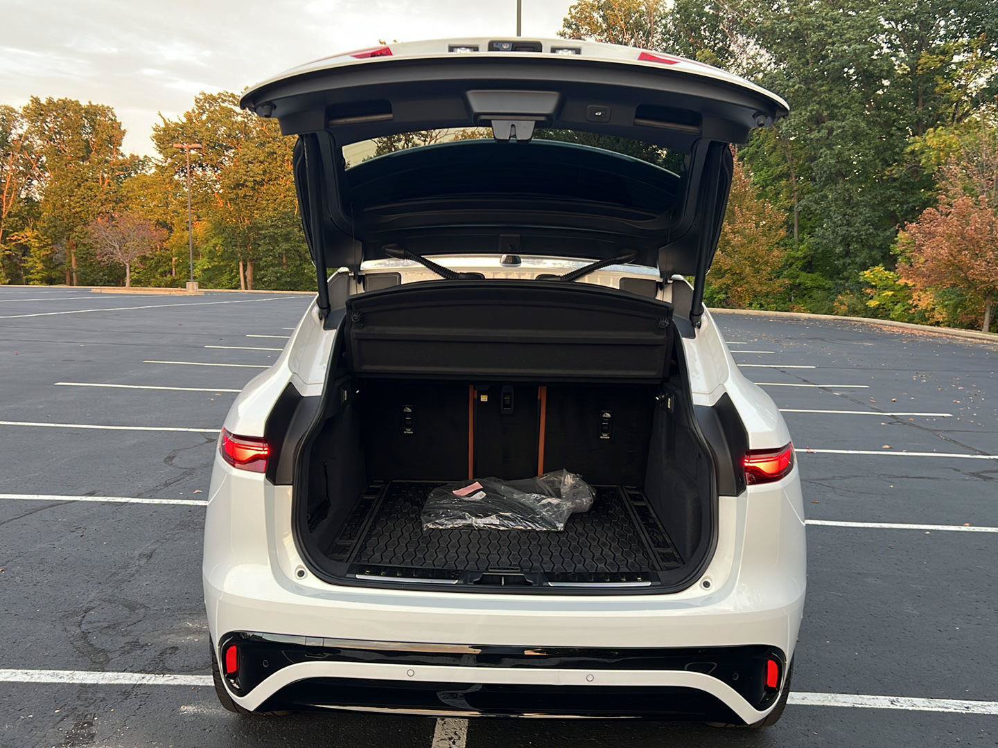 Certified 2026 Jaguar F-PACE R-Dynamic S AWD/4WD image 30