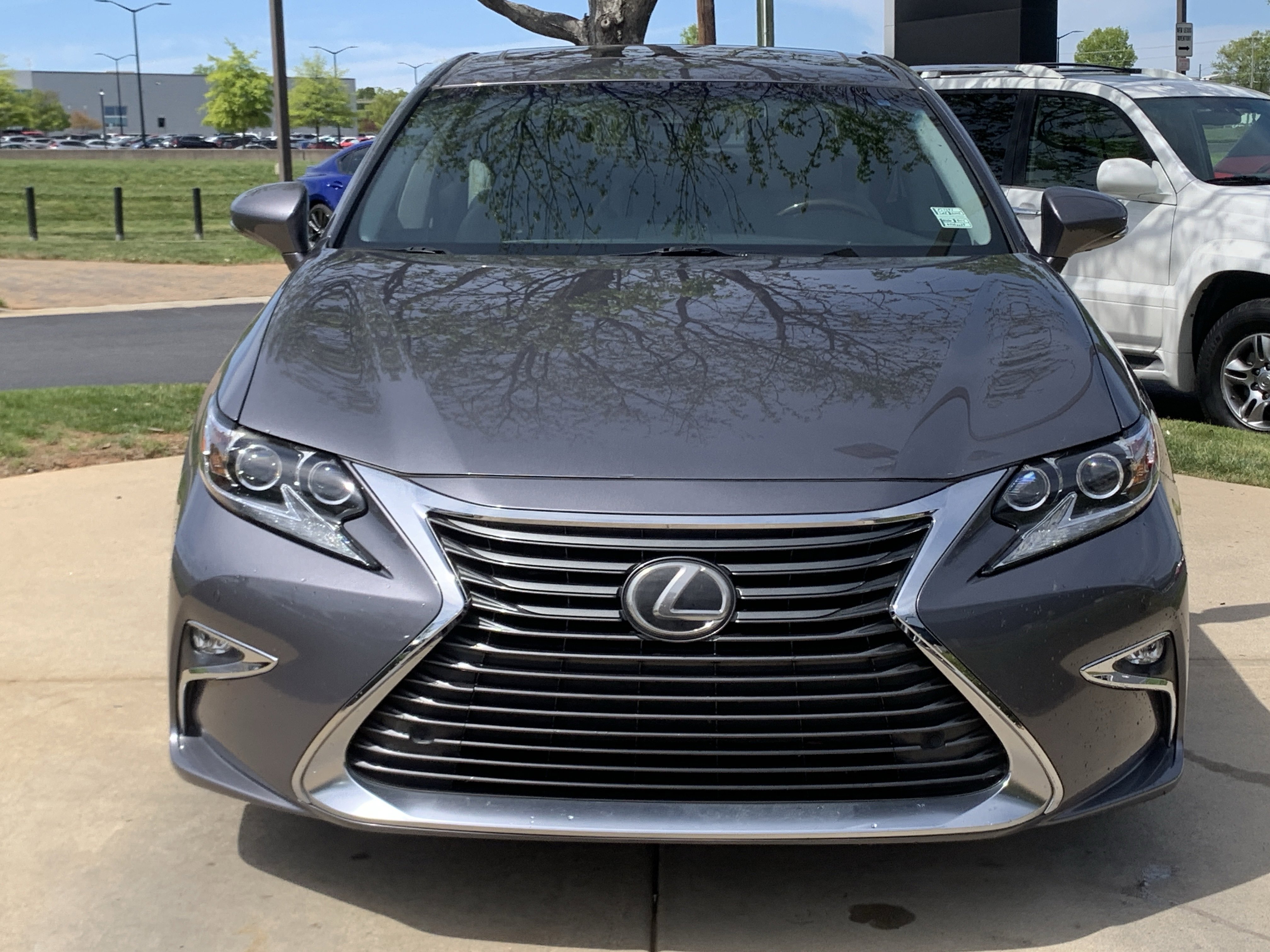 Used 2013 Lexus ES 350 w/ Luxury Pkg image 5