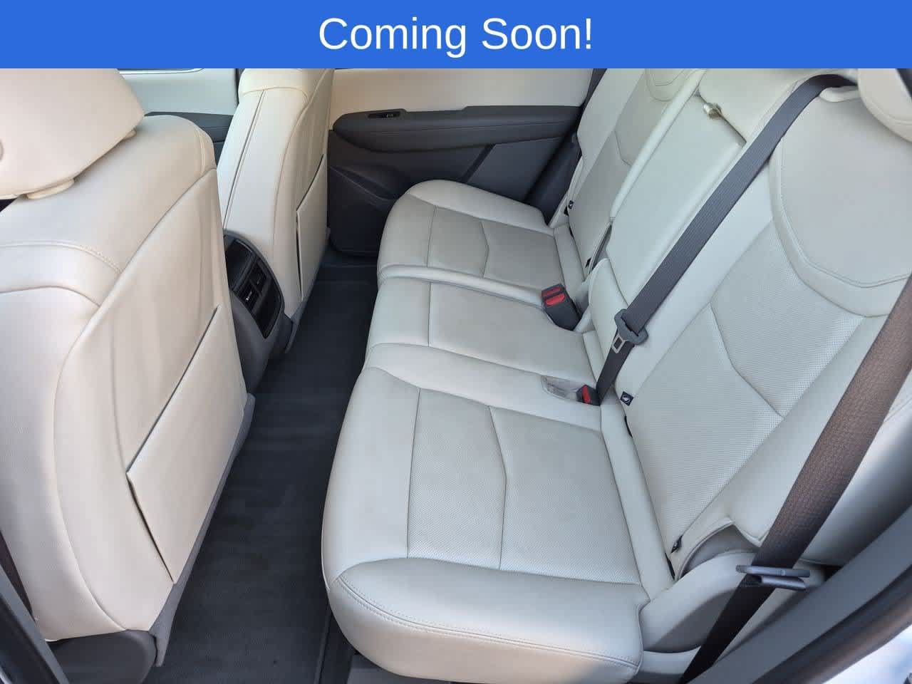 Used 2024 Cadillac XT5 Premium Luxury AWD/4WD image 20