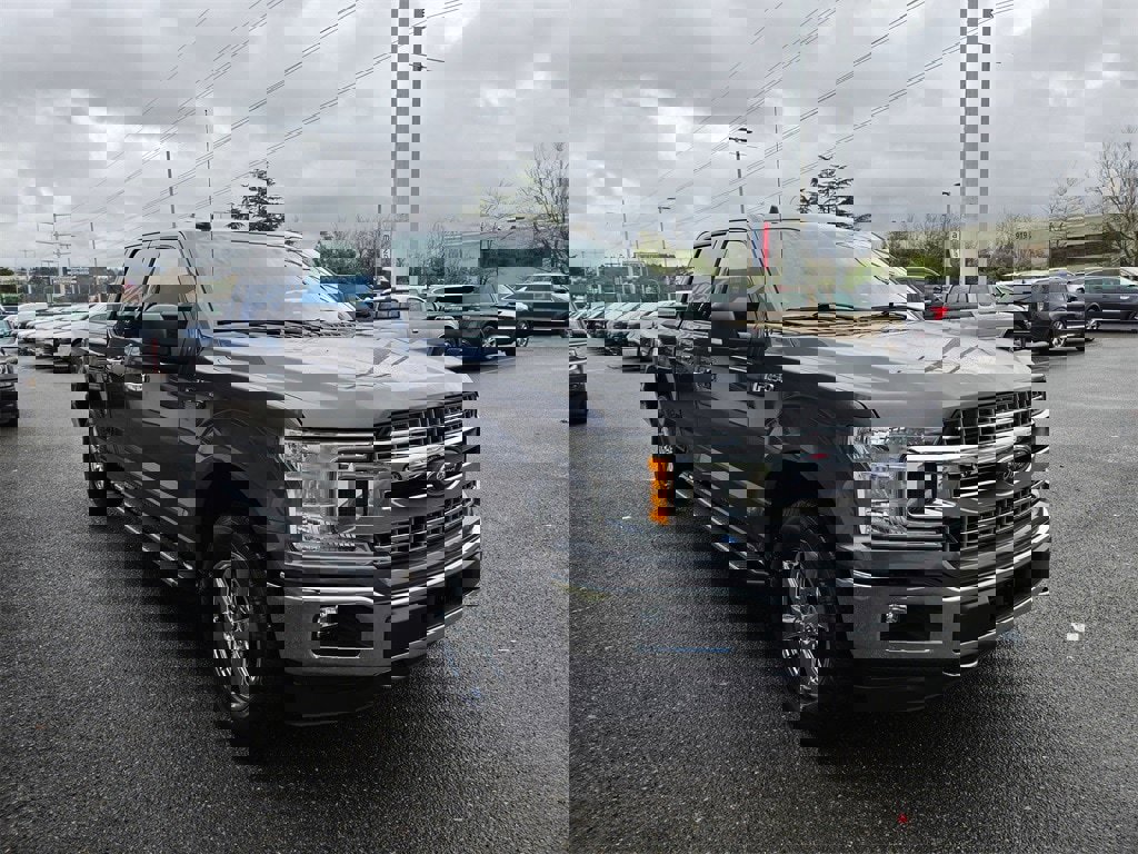 Used 2019 Ford F150 XLT w/ Equipment Group 302A Luxury image 3