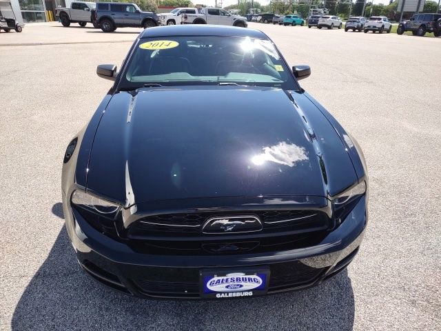 Used 2014 Ford Mustang GT Premium w/ Brembo Brake Package RWD image 10