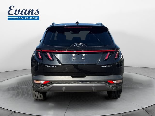 Used 2022 Hyundai Tucson Limited AWD/4WD image 6