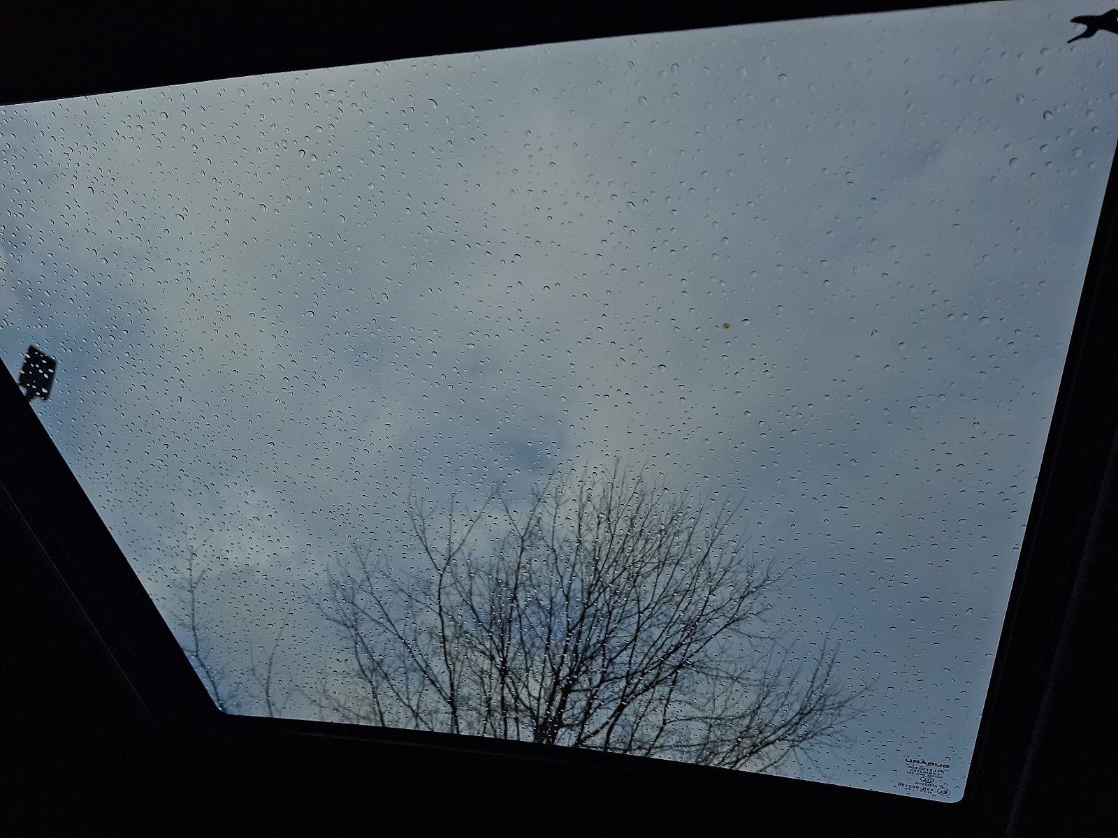 Used 2025 Subaru Forester Sport w/ Popular Package #2 image 14