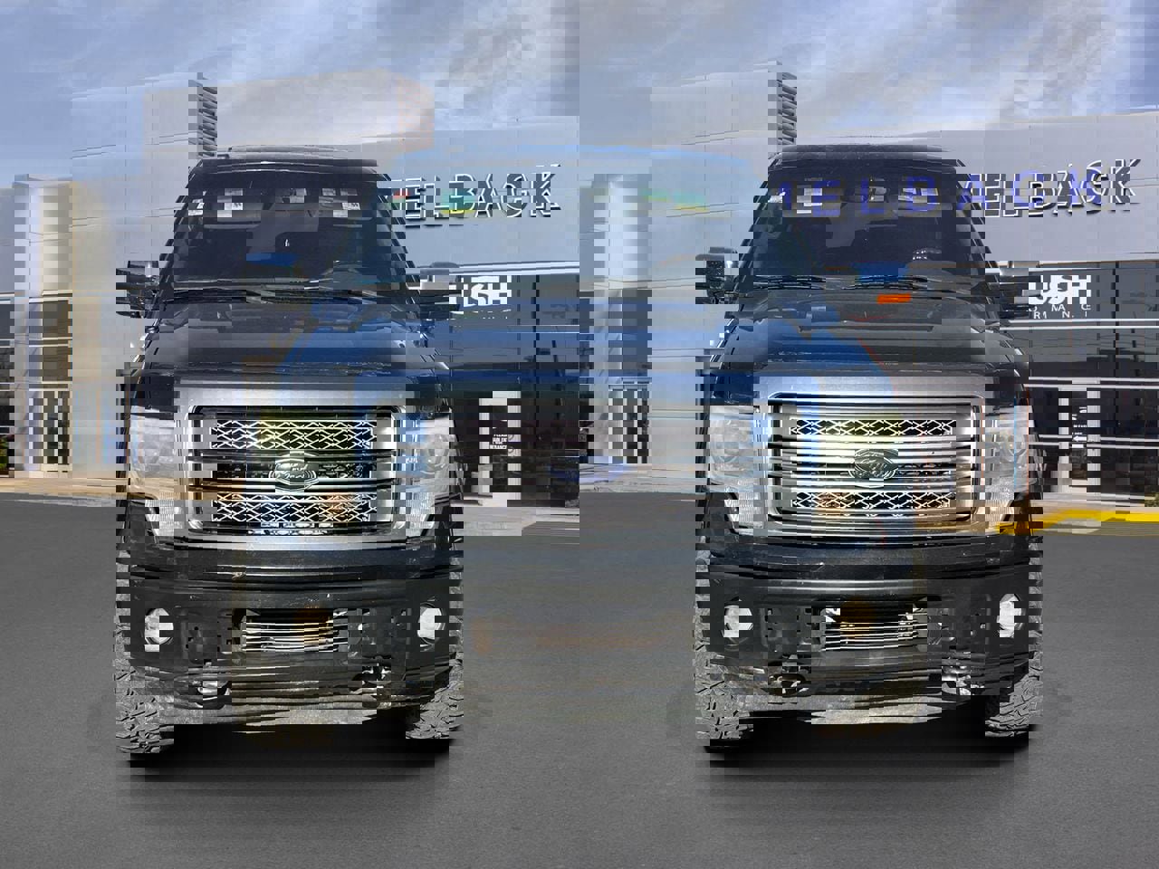 Used 2013 Ford F150 Platinum image 3