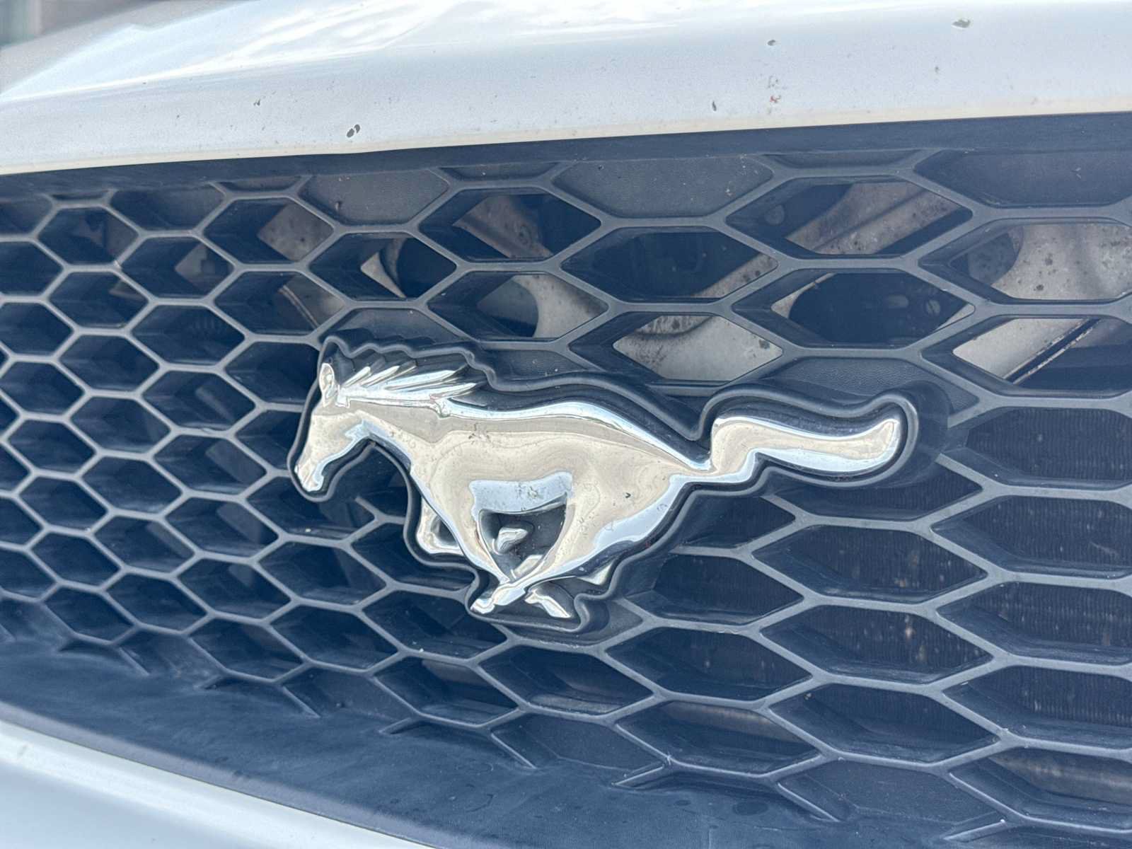 Used 2008 Ford Mustang Premium RWD image 11