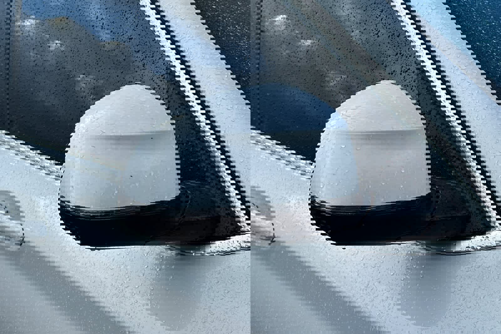 Used 2024 BMW X4 xDrive30i w/ Premium Package image 12