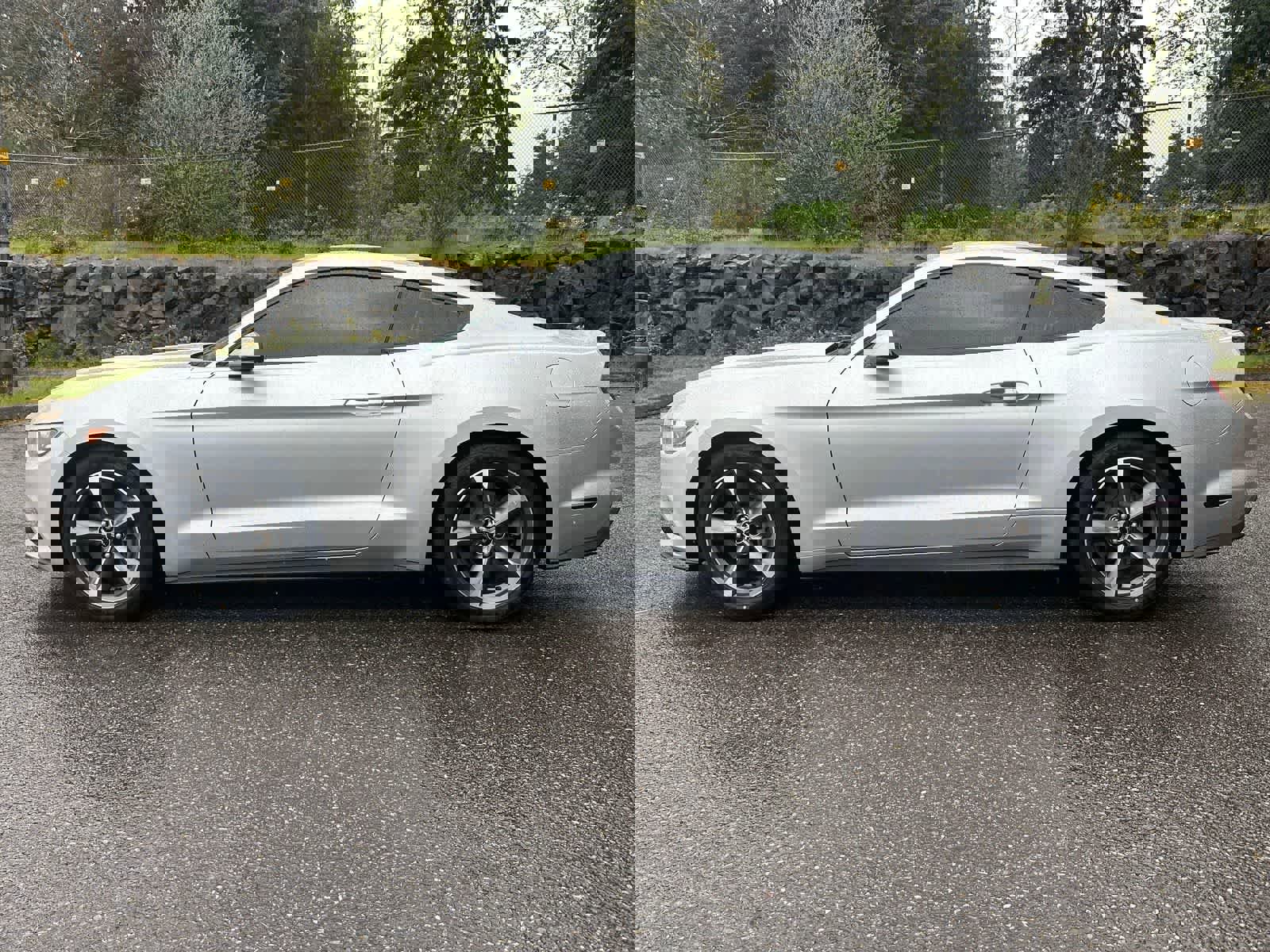 Used 2015 Ford Mustang Premium w/ Equipment Group 201A RWD image 2