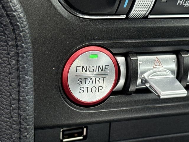 Certified 2019 Ford Mustang GT w/ Equipment Group 301A RWD image 45