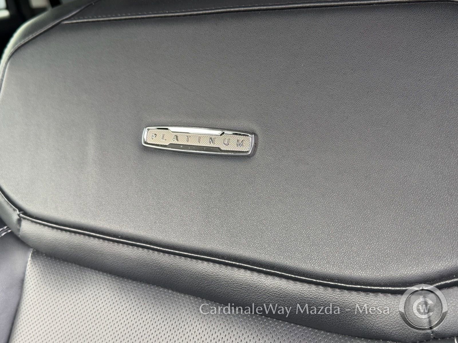 Used 2025 Ford Expedition Max Platinum AWD/4WD image 11