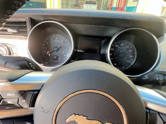 Used 2019 Ford Mustang GT Premium RWD image 14