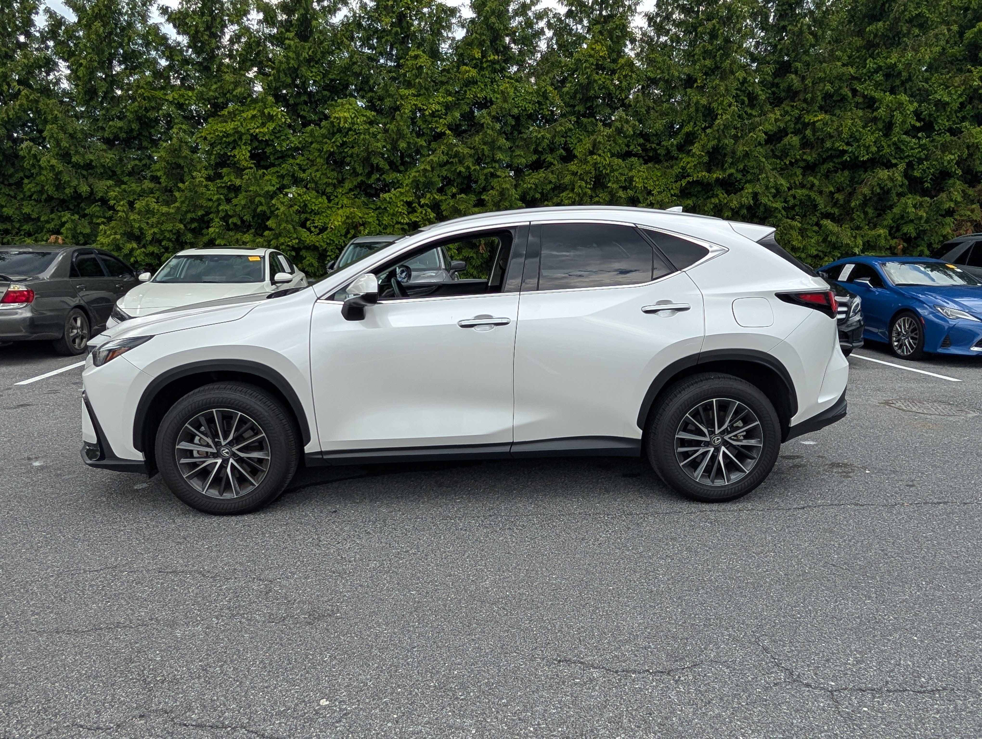 Certified 2025 Lexus NX 350 AWD w/ Accessory Package (2T) image 6