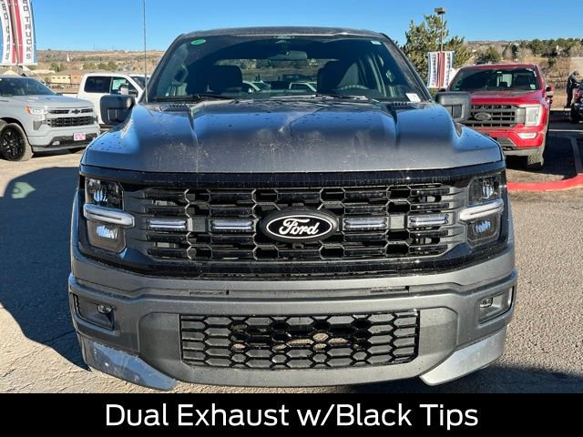 New 2025 Ford F150 STX w/ LOBO Package image 9