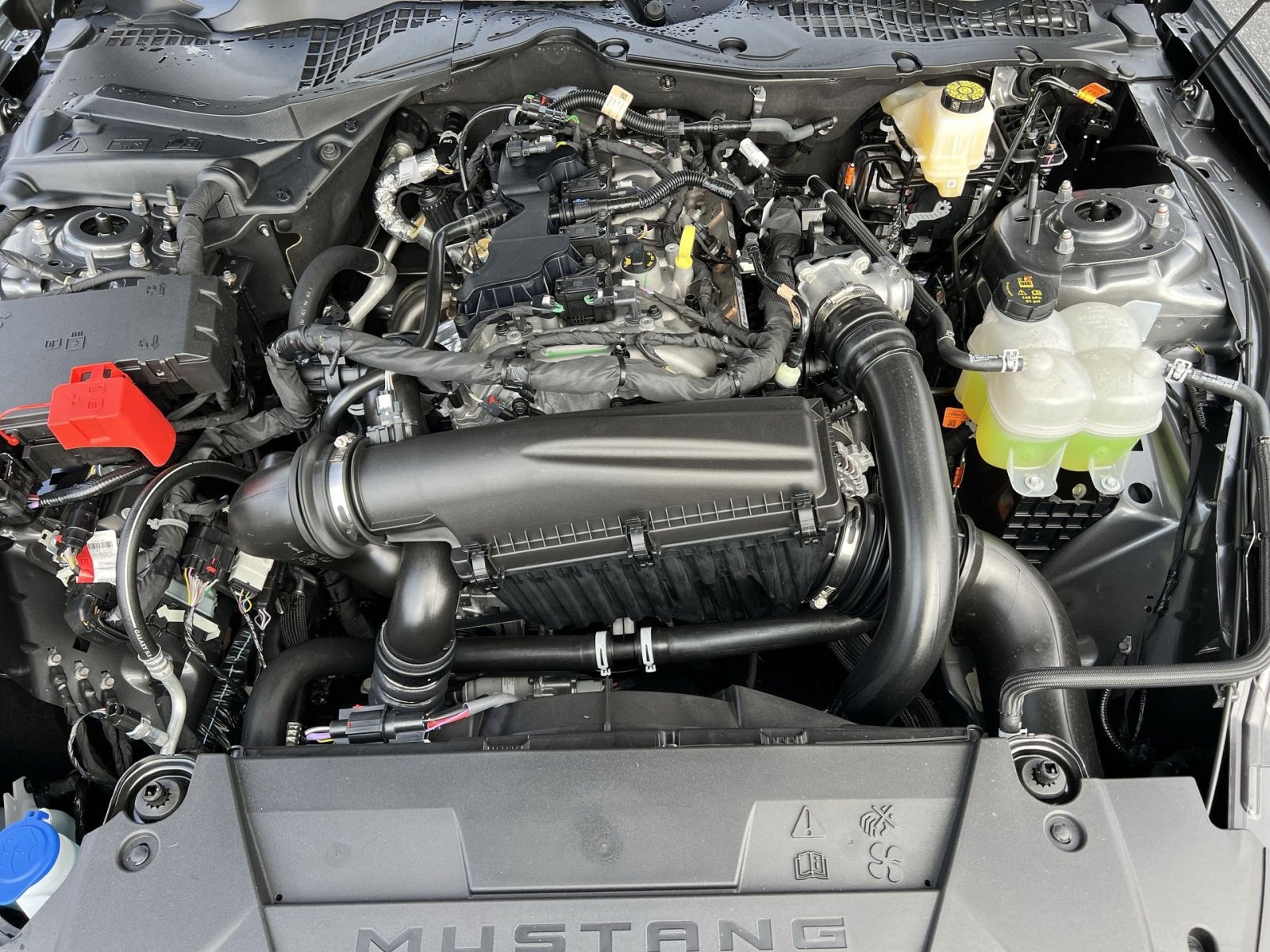 New 2026 Ford Mustang Coupe image 25