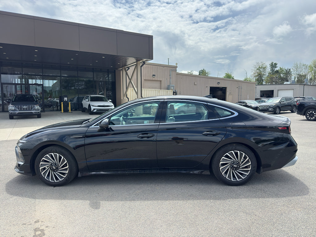 Used 2025 Hyundai Sonata Limited image 8