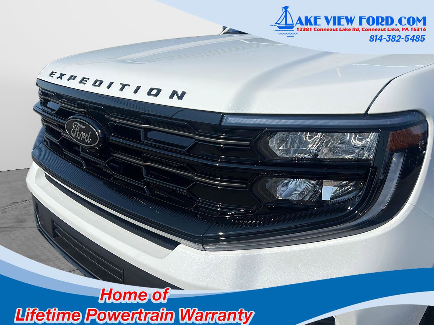 New 2025 Ford Expedition Platinum w/ Stealth Performance Package image 20
