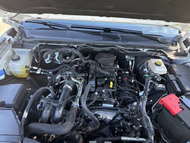 Used 2024 Ford Ranger XLT w/ Equipment Group 301A High AWD/4WD image 46