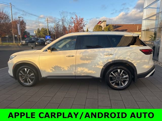 Certified 2023 INFINITI QX60 Luxe w/ Cargo Package image 4
