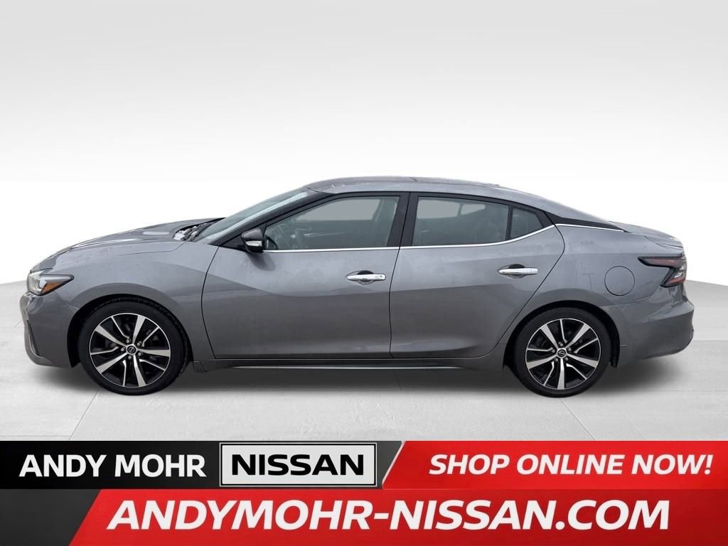 Used 2023 Nissan Maxima SL image 4