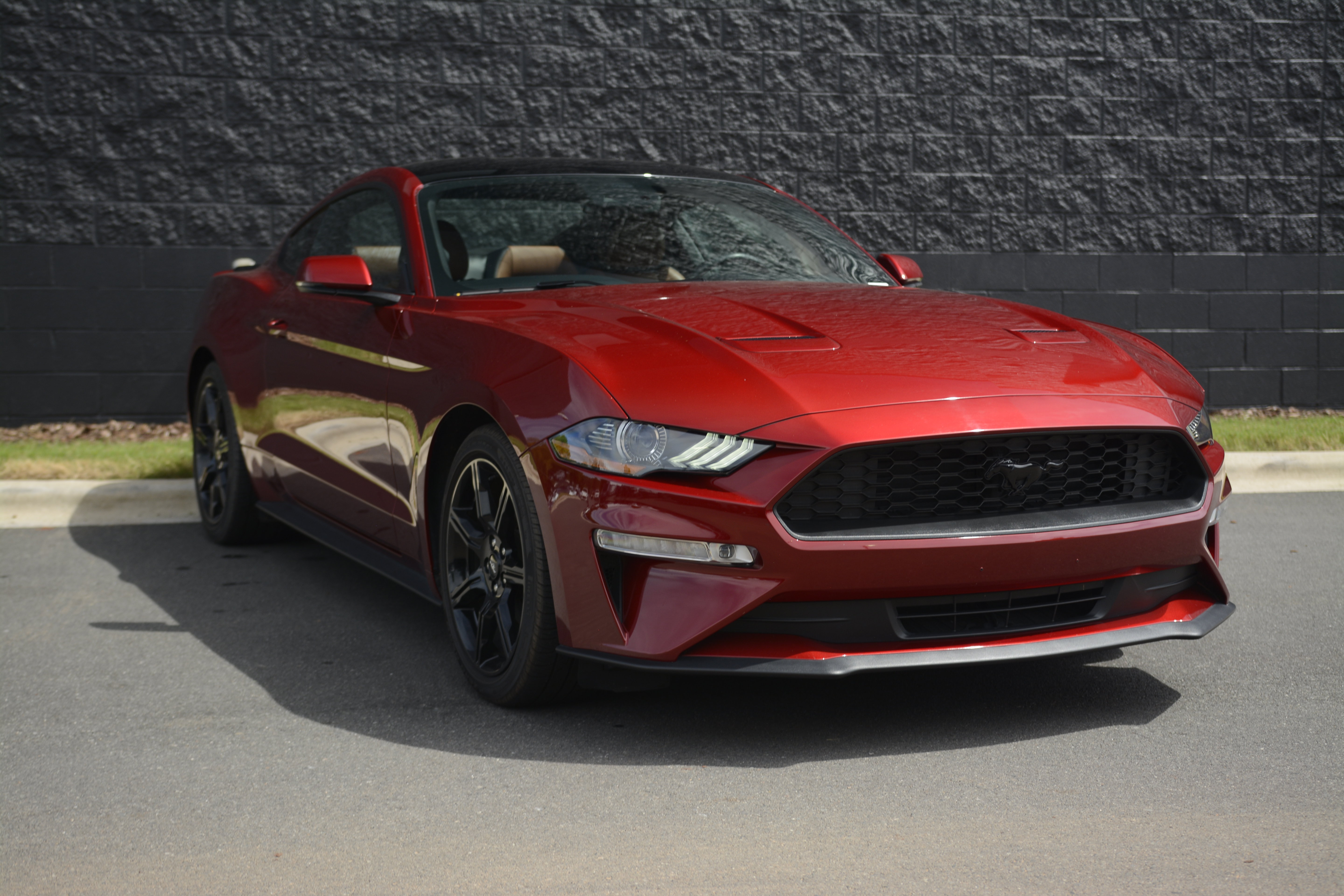 Used 2019 Ford Mustang Premium w/ Ford Safe & Smart Package RWD image 9