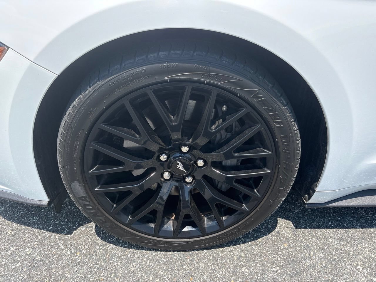 Used 2019 Ford Mustang GT Premium w/ Equipment Group 401A RWD image 11