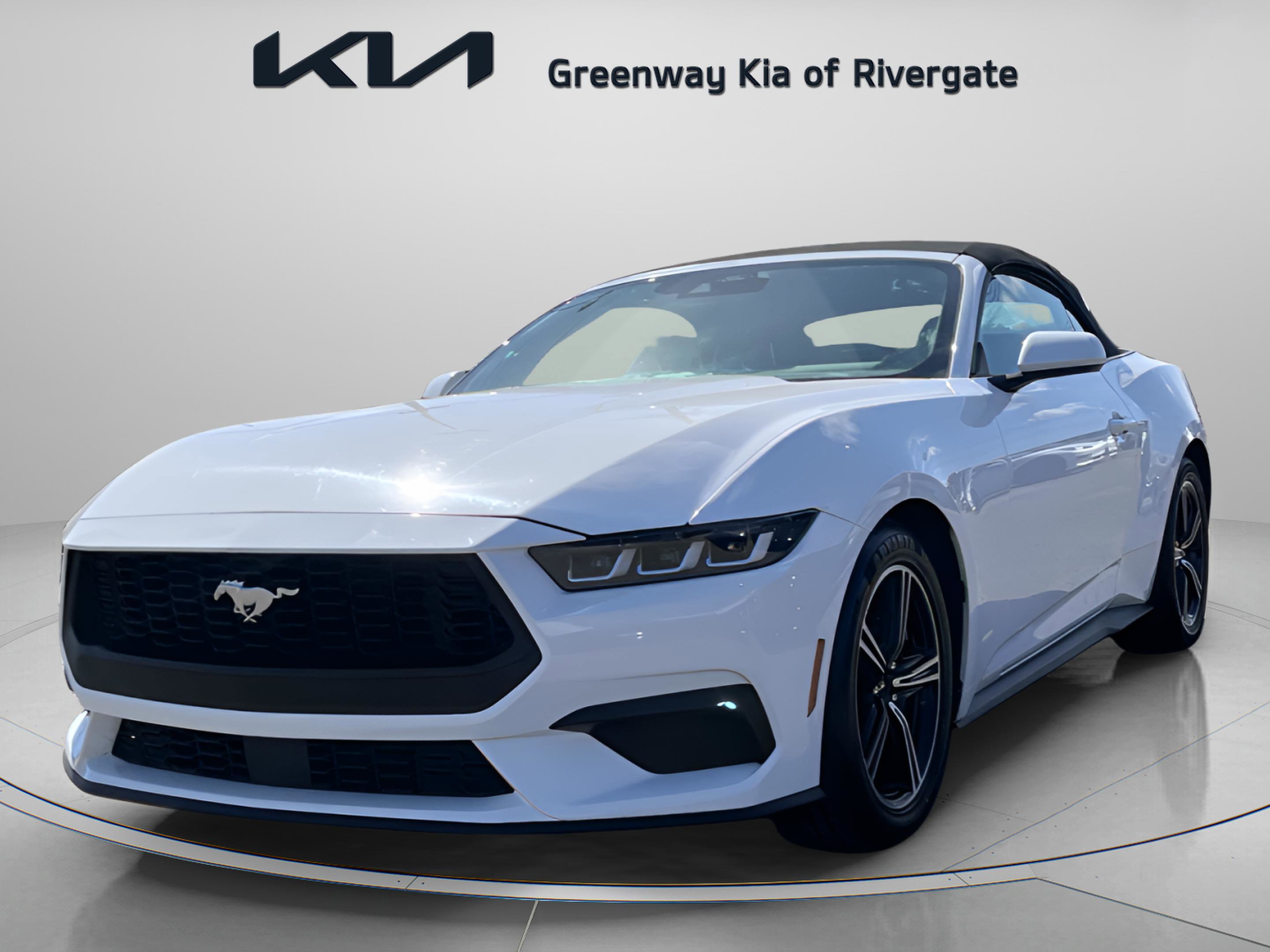 Used 2024 Ford Mustang Premium image 3