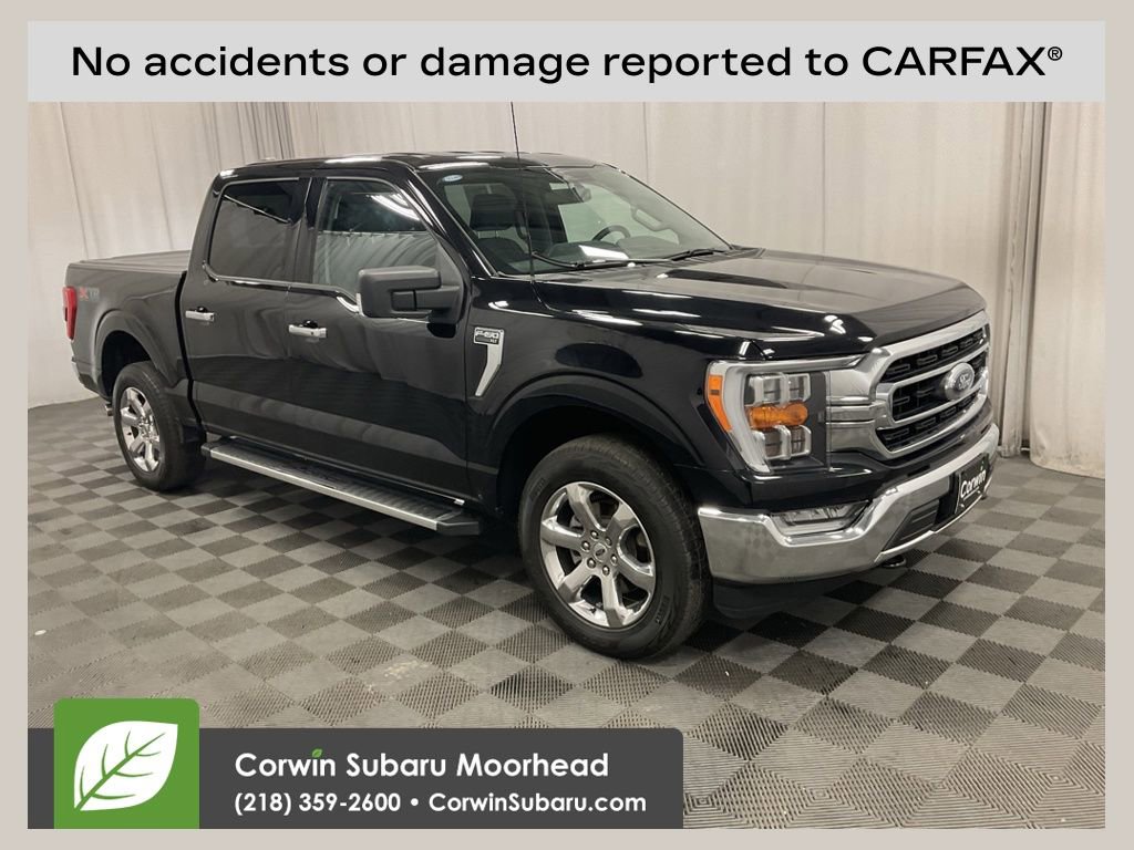 Used 2023 Ford F150 XLT w/ Equipment Group 302A High image 1