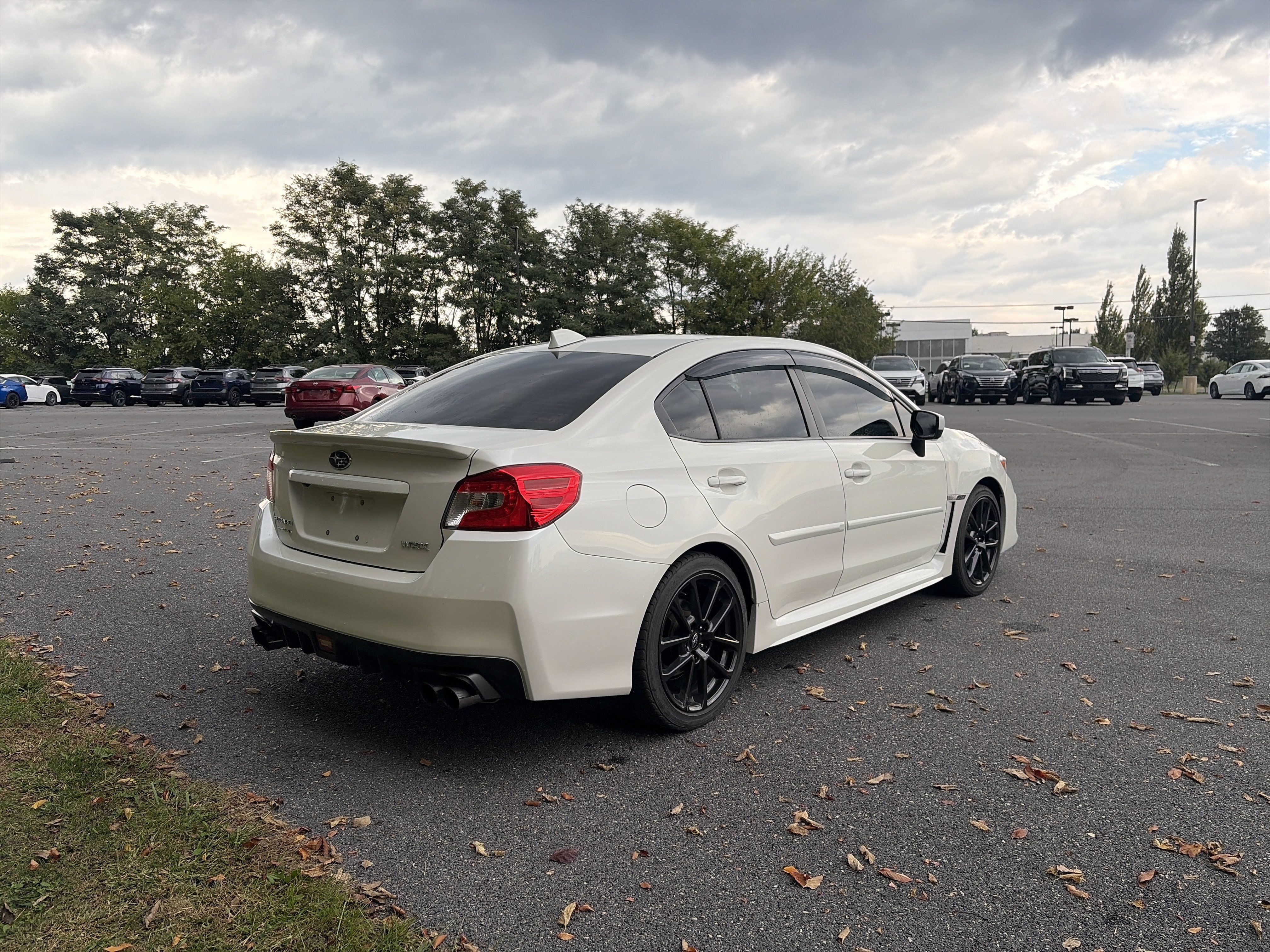 Used 2021 Subaru WRX Premium AWD/4WD image 5