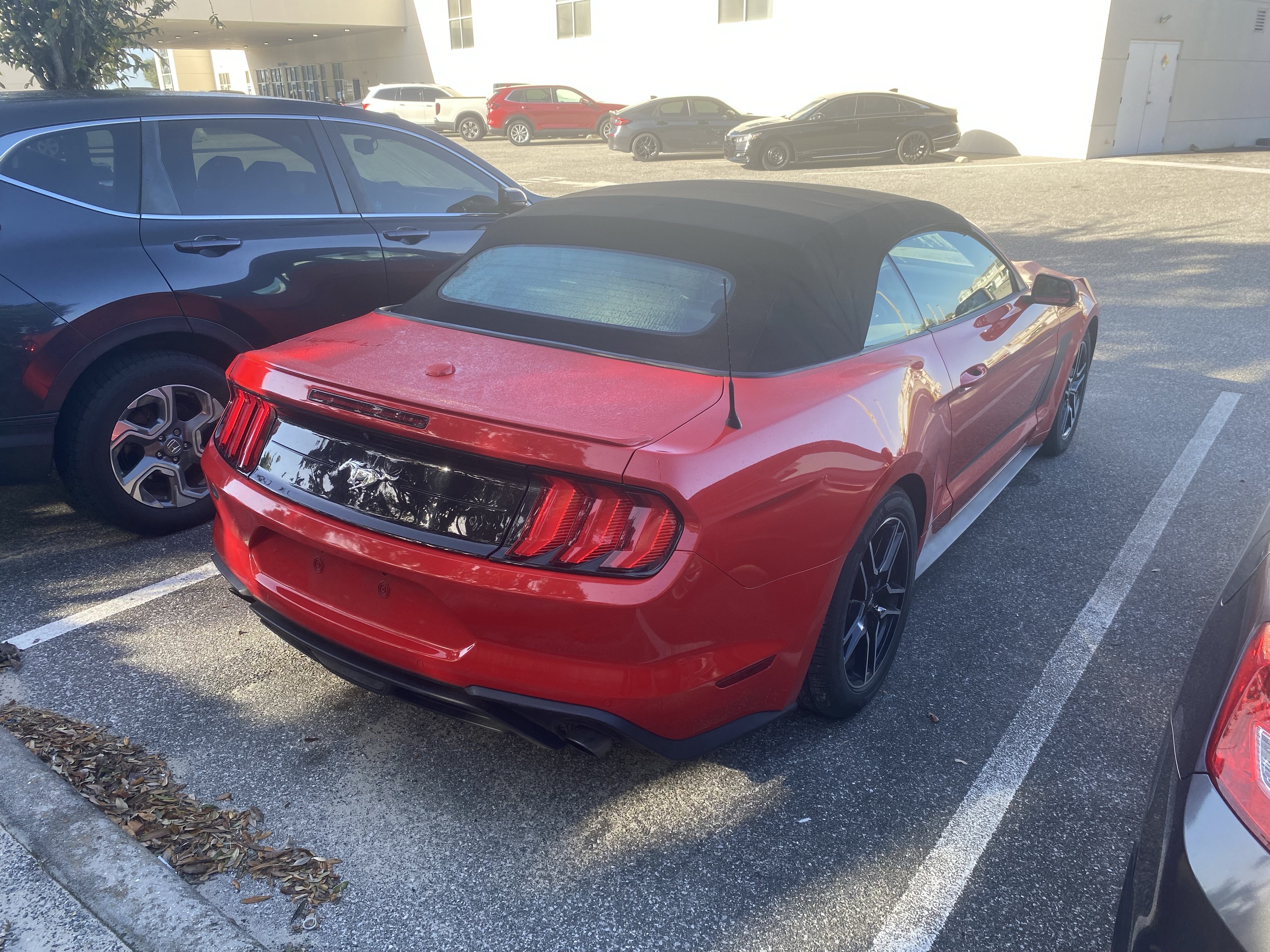 Used 2018 Ford Mustang Premium w/ Equipment Group 201A RWD image 18
