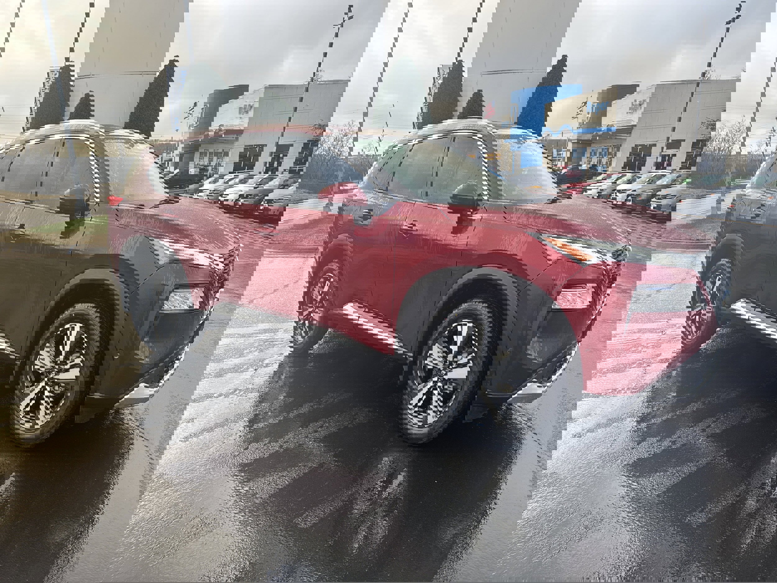 Used 2023 Nissan Rogue Platinum w/ Platinum Premium Package image 1