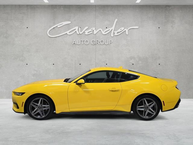 Used 2024 Ford Mustang Premium image 13