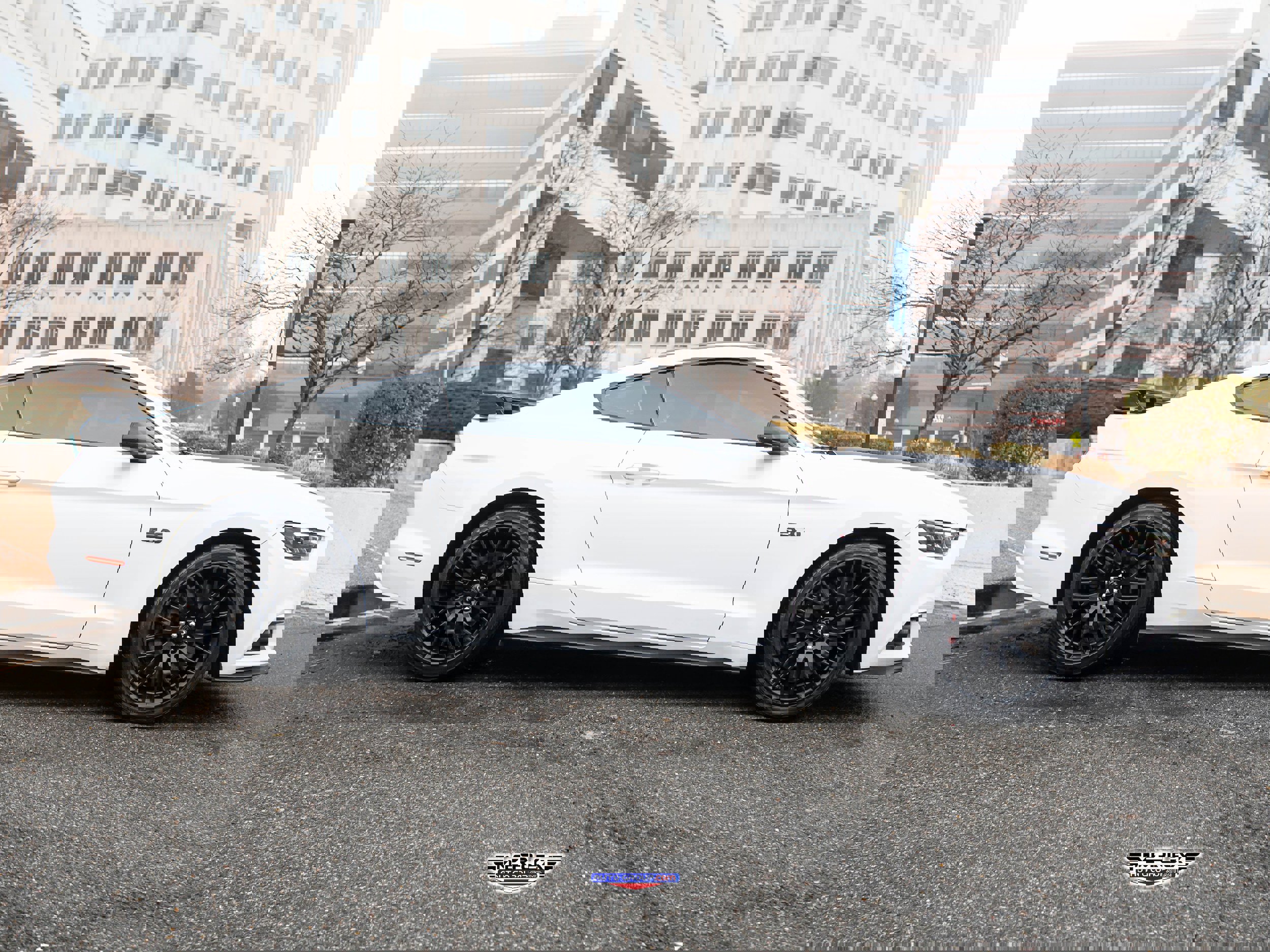 Used 2017 Ford Mustang GT w/ GT Performance Package image 8