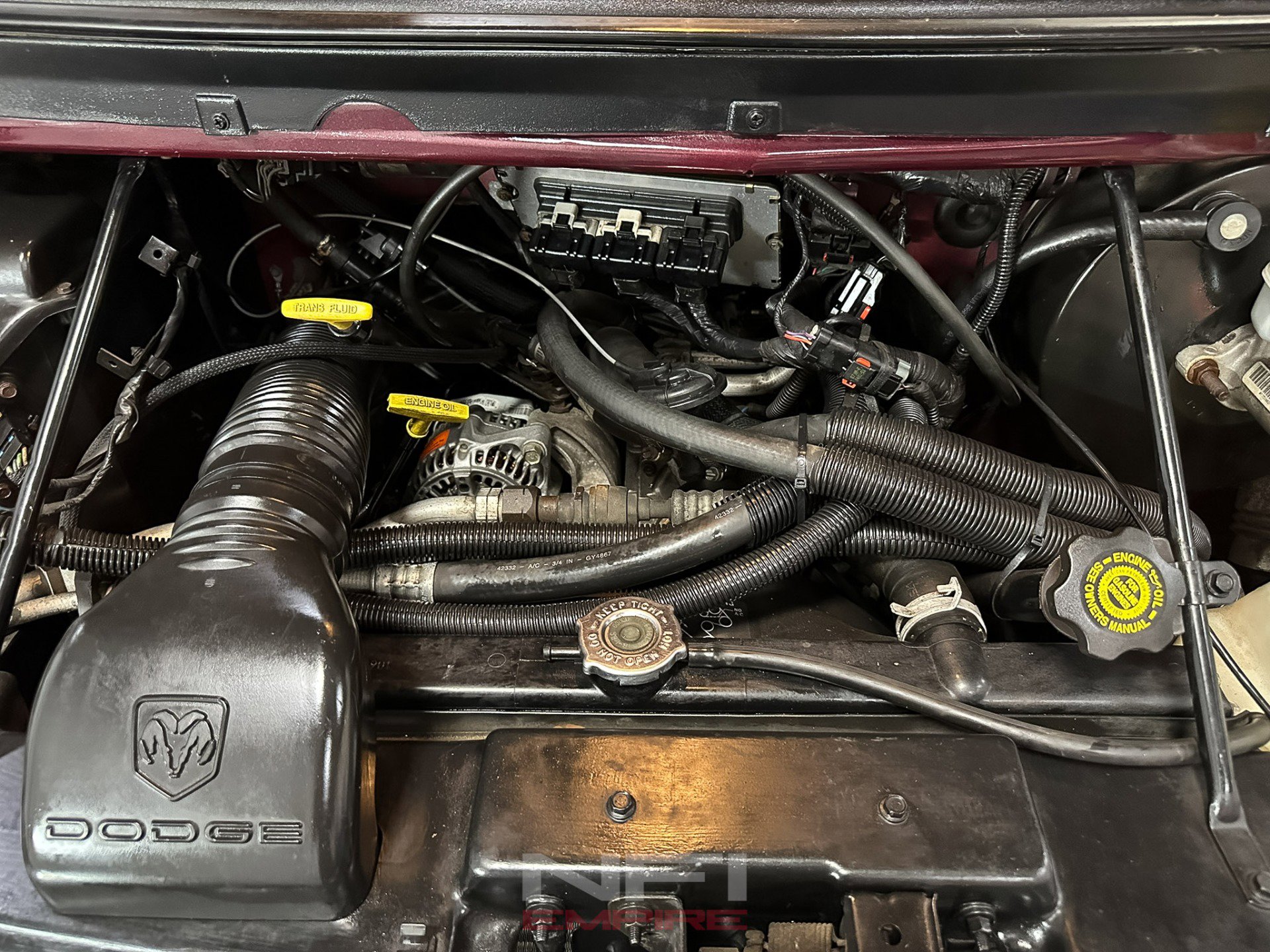 Used 2002 Dodge B1500 image 45