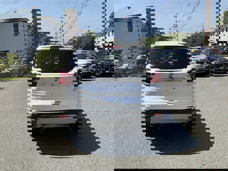 Used 2019 Ford Escape SEL image 6