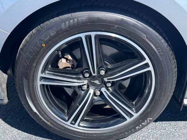 Used 2024 Ford Mustang Premium RWD image 5