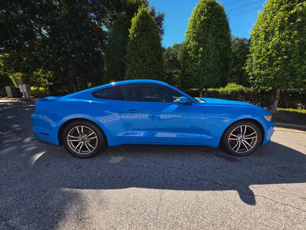Used 2017 Ford Mustang Premium image 6