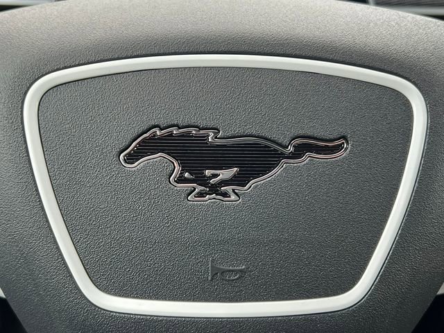 New 2025 Ford Mustang Mach-E GT w/ Interior Protection Package image 24
